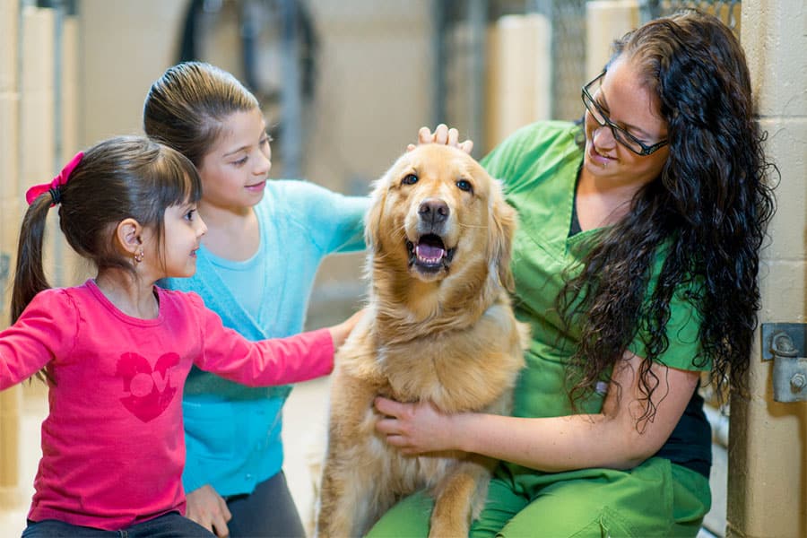 Woman and children petting dog.