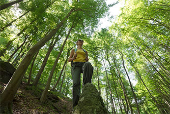 Woman Hiking in Woods